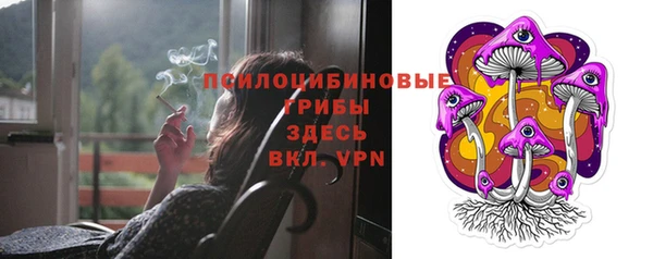 молекула духа Алзамай