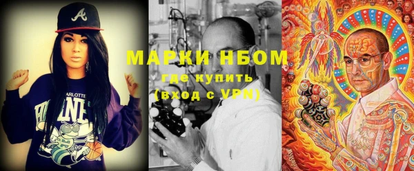 индика Алексин