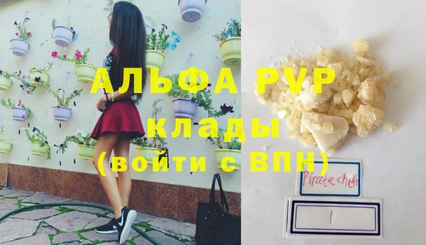 индика Алексин