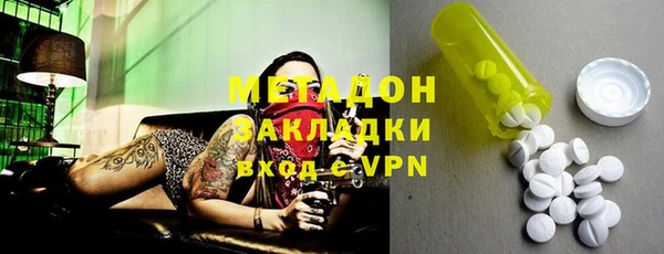 индика Алексин