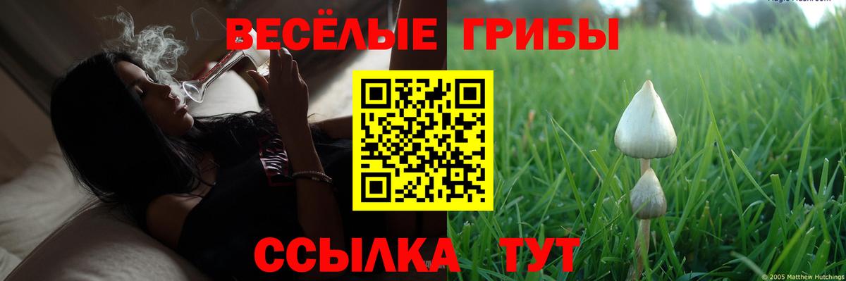 Галлюциногенные грибы Psilocybine cubensis  Вход с VPN  Подольск 